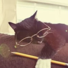 I cry because she’s gone