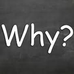 WHY?