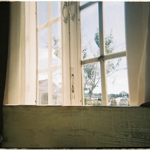 (đã từng) ngớ ngẩn