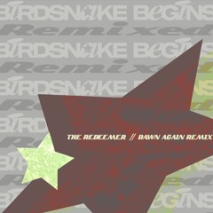 DC Promo Tracks: Birdsnake "Redeemer" (Dawn Again remix)