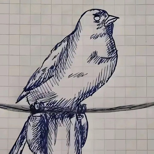 SAIBOTAJE - SCHIZOPHRENIA Slow