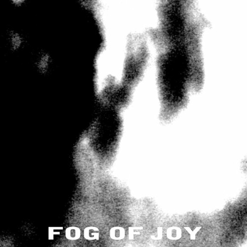 Fog Of Joy - House Of Flavors (excerpt)
