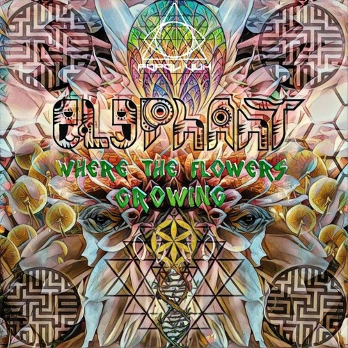 Elephant - extraterrestrial rain train prev