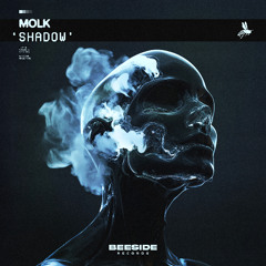 MOLK - Shadow (Extended Mix) [BEESIDE RECORDS]