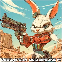 DeeJay Dan - Acid Breaks 14 [2024]