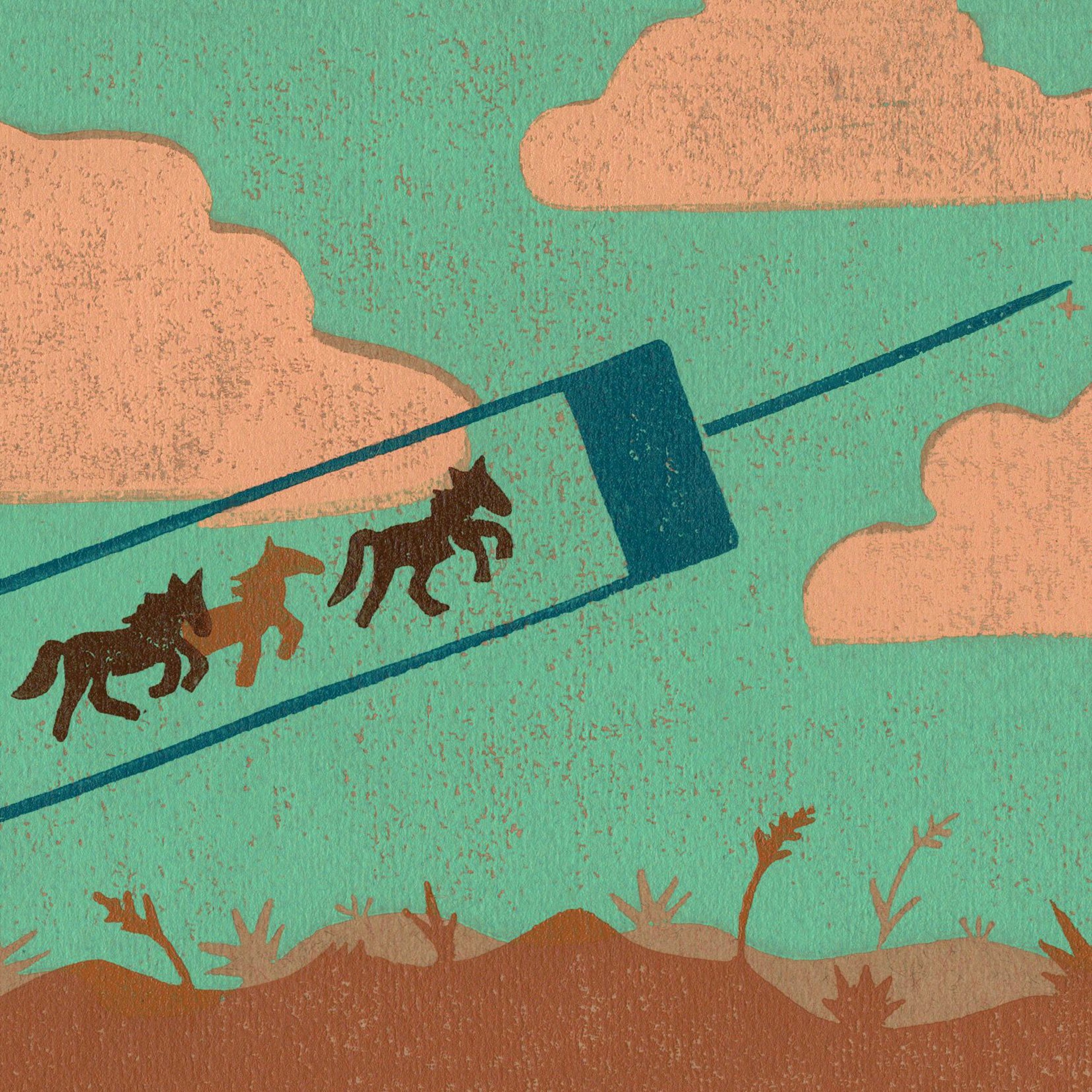 Why wild horses pull on our heartstrings