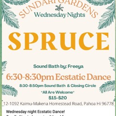 Sundari - 11 - 16 - 22