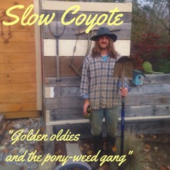 wanna get "$p$a$i$d$"