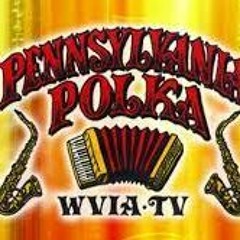 "Pennsylvania Polka" - 100 Polka
