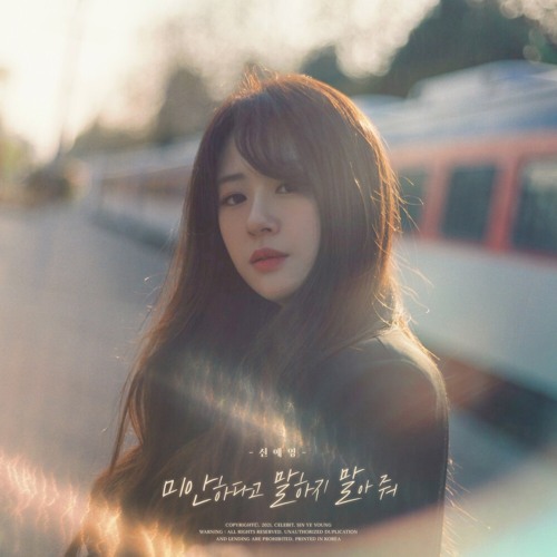 Don't Apologize(미안하다고 말하지 말아 줘)- Sin Ye Young(신예영)