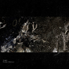 Xorgett - Reversed Pareidolia