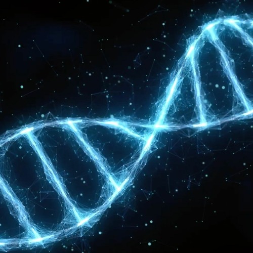 Stream episode REWIRE YOUR REALITY - The Chain Of Transformation by www ...