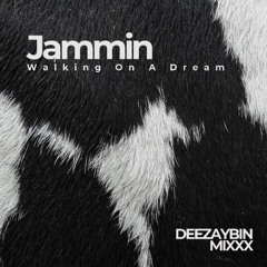 Walking On A Dream x DEEZAYBIN MIXXX [REUP 2015]