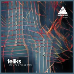 mellowcast #060 | feliks
