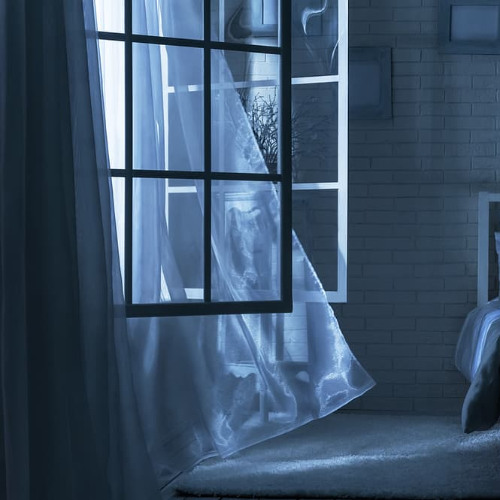 when the window is open_20250702