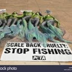 Kuarenteners - AtLaNtIdA FfoSFOrAl FREEE