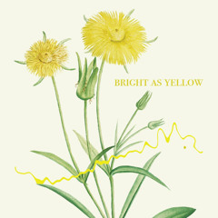 Bright as Yellow