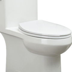 Literal poo poo garbage