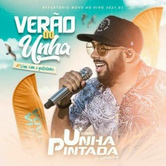 Unha Pintada - Recaída Sem Compromisso (CD Verão 2021)