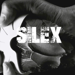 Silex_master