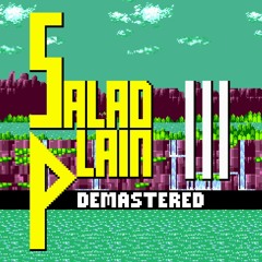 [BONUS] Salad Plain Past Demastered