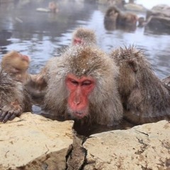 Wednesday Night Music Club