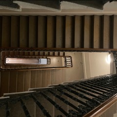 Fishing Vibe Mojo exquis