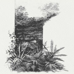 Family Jordan - Stillness