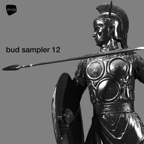 BUD SAMPLER 12 - VA