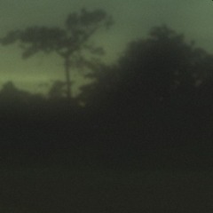 Told you I’m not here mentally