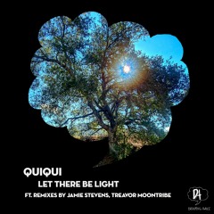 PREMIERE: QuiQui - Let There Be Light (Jamie Stevens Acid Test Remix) [Dreaming Awake]