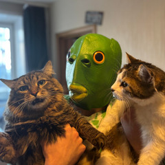 2 Кота