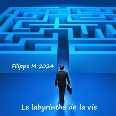 Le Labyrinthe De La Vie