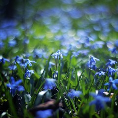 Peggy Lee - Fever (Karaoke)