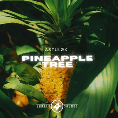 Astuløx - Pineapple Tree [Summer Sounds Release]