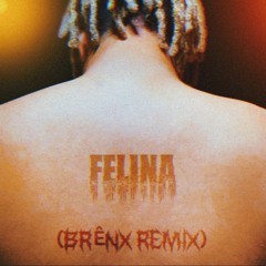 Wiu X Ryan SP - Felina (BRÊNX Remix)