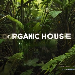 DJ Peter K Organic House Mix