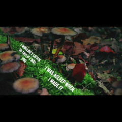 I wouldn’t listen to you if I was you, I was asleep when I made it