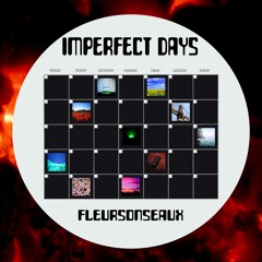 Imperfect Days