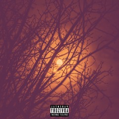 Lune (Instrumental Rap Trap)