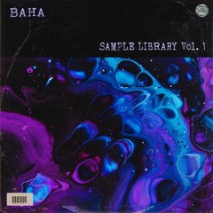 BVHV Sample Library Vol.1