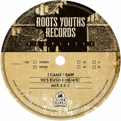 I CAME I SAW 90'S BUSH CHEMIST ROOTS YOUTHS RECORDS.wav