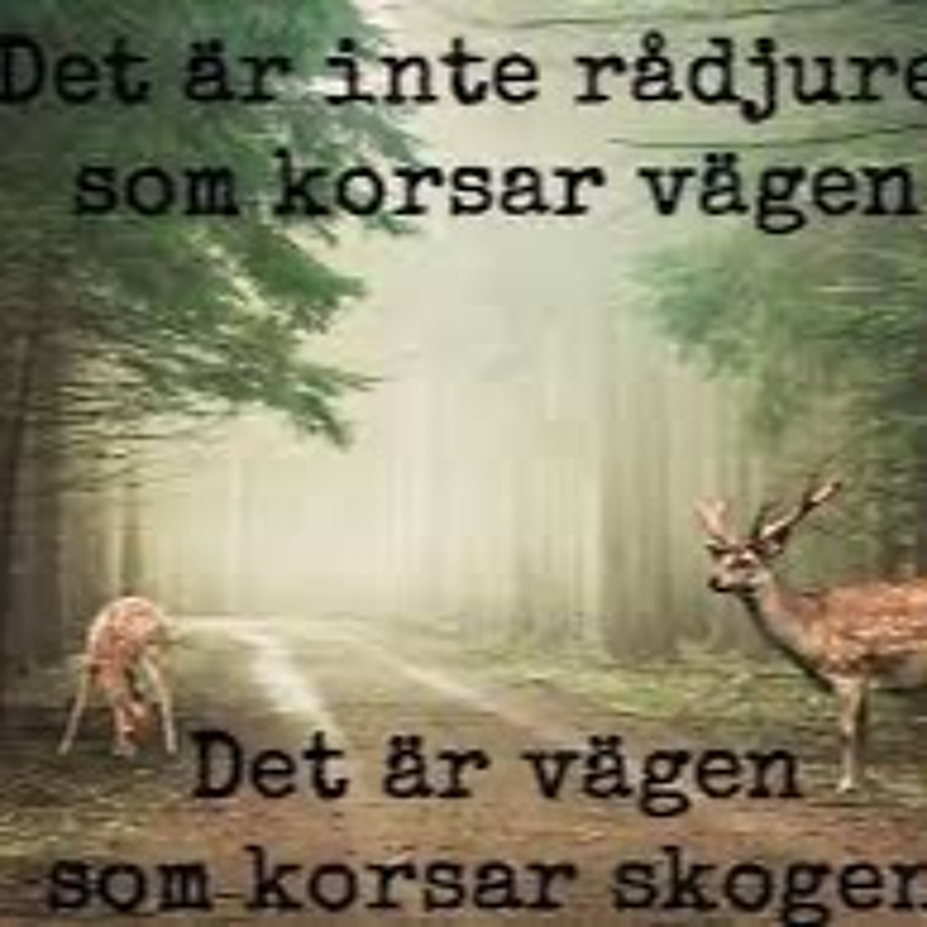 Ansvarspodden