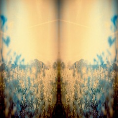 Escaping Memories