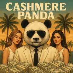Cashmere Panda Maffia magyar