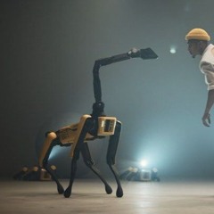 Laika X