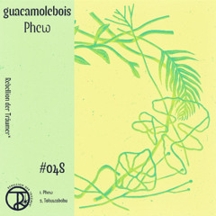 guacamolebois - Phew (Original Mix)