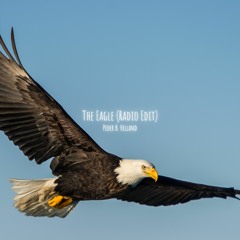 Peder B. Helland - The Eagle (Radio Edit)