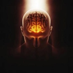 Kavik - Welcome to my Mind