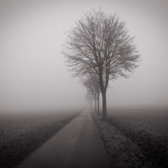 Washing Machine Heart [Dystekx RMX]